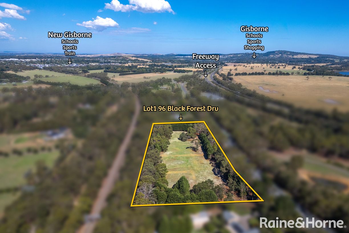 Lot 1 Black Forest Drive — photo 11 of 11