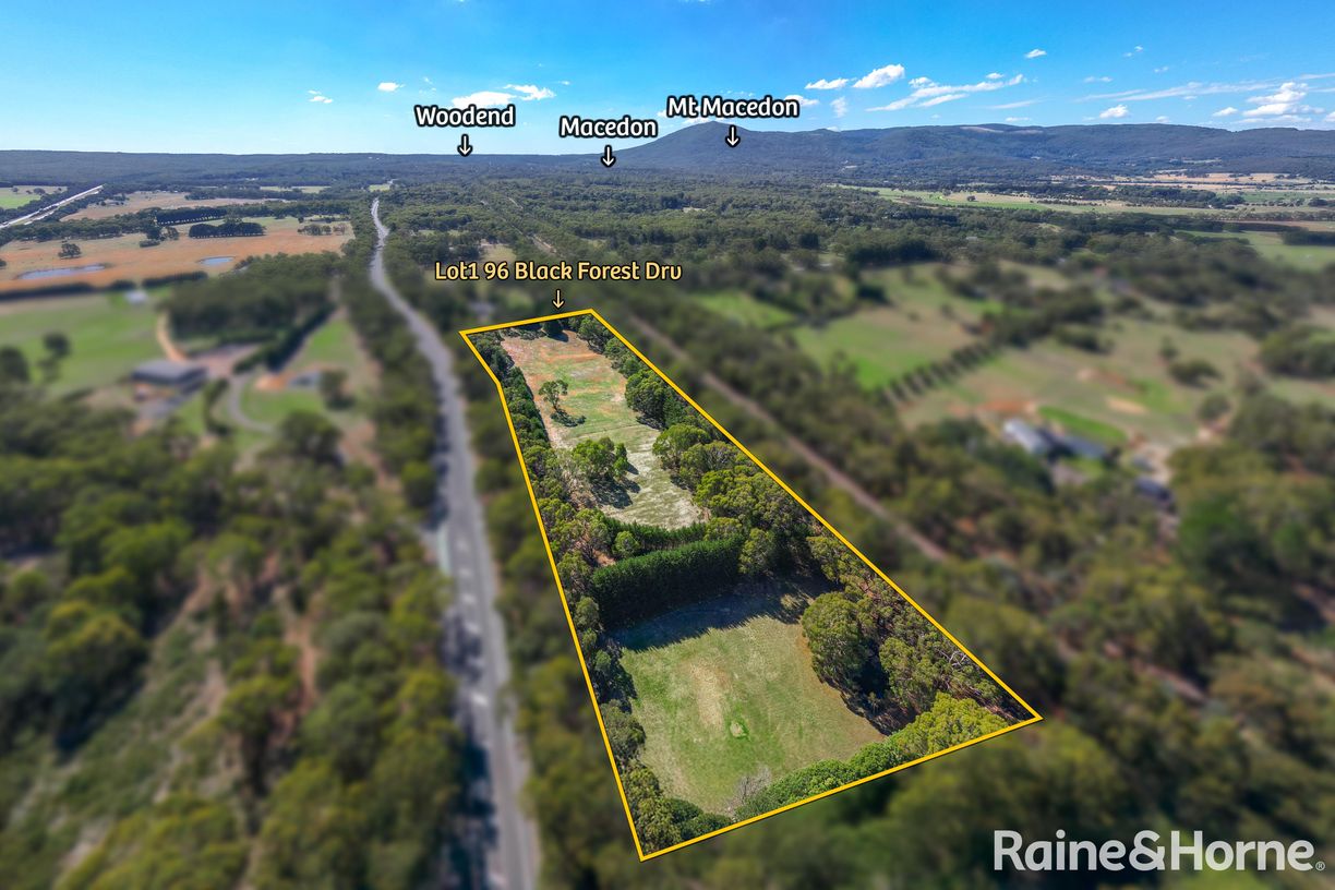 Lot 1 Black Forest Drive — photo 10 of 11