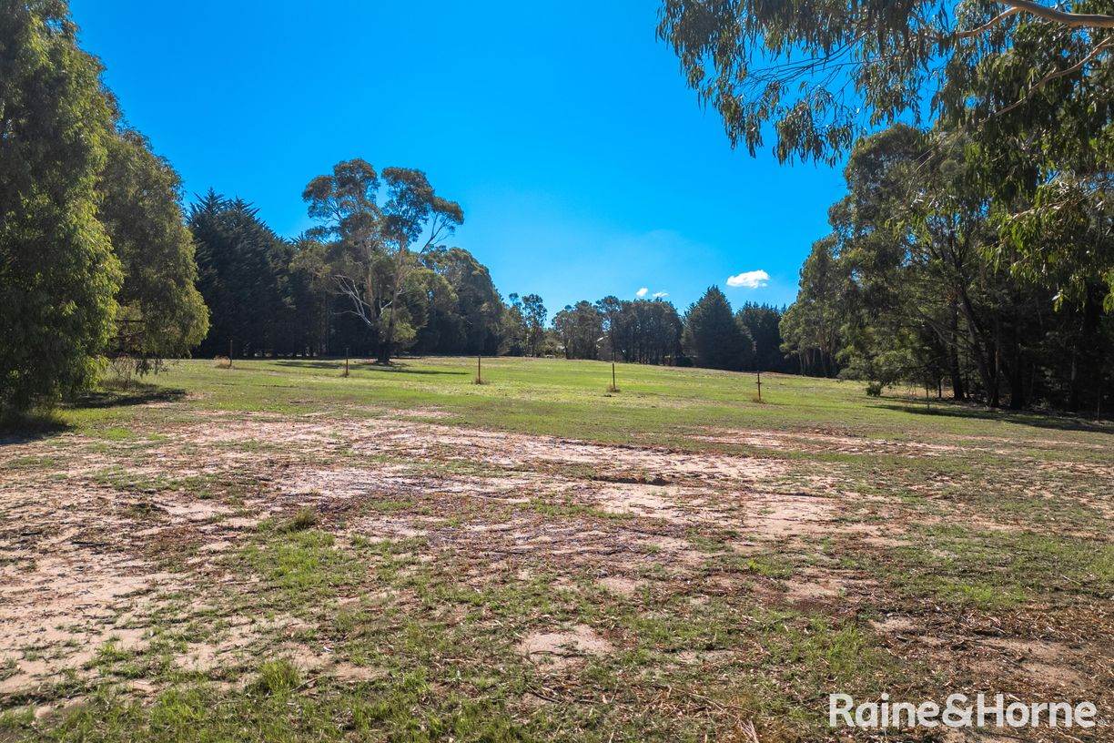 Lot 1 Black Forest Drive — photo 4 of 11