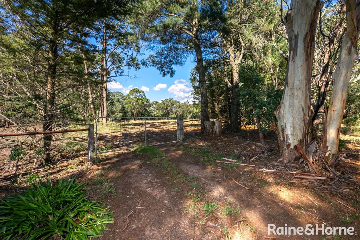 Lot 1 Black Forest Drive — photo 9 of 11
