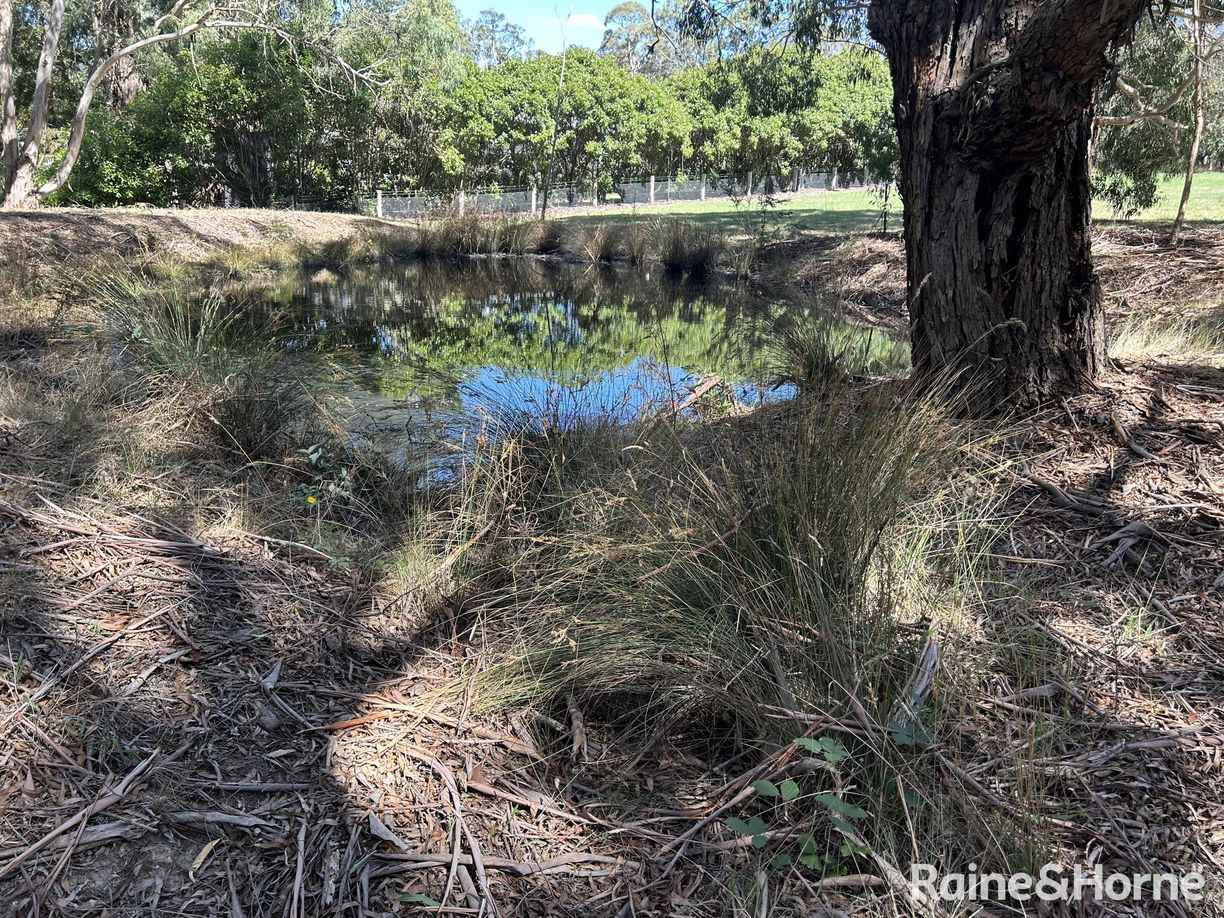 Lot 1 Black Forest Drive — photo 8 of 11