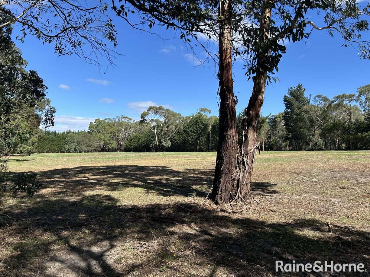 Lot 1 Black Forest Drive — photo 6 of 11
