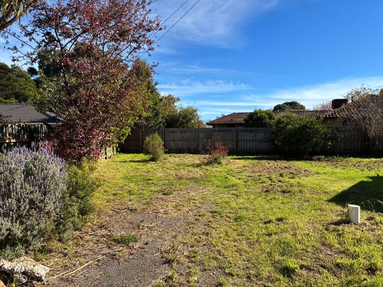 8A Keily Road — photo 3 of 5
