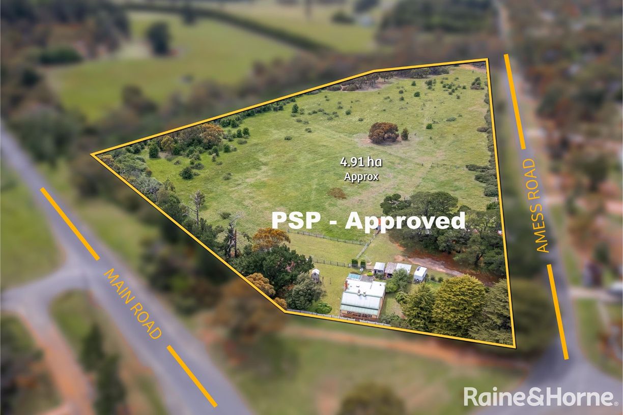 163 Main Road — photo from Raine & Horne Gisborne