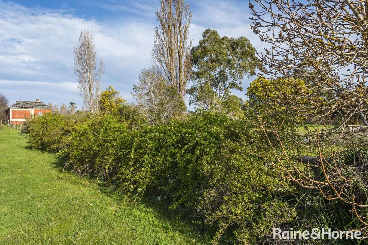 Lot 17 Mollison Street — photo 6 of 9