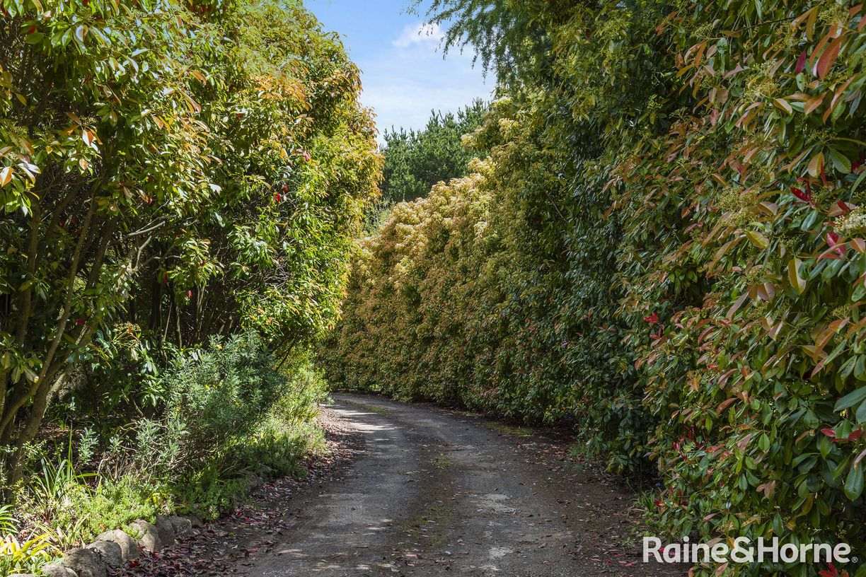 545 Kyneton Springhill Road — photo 7 of 30
