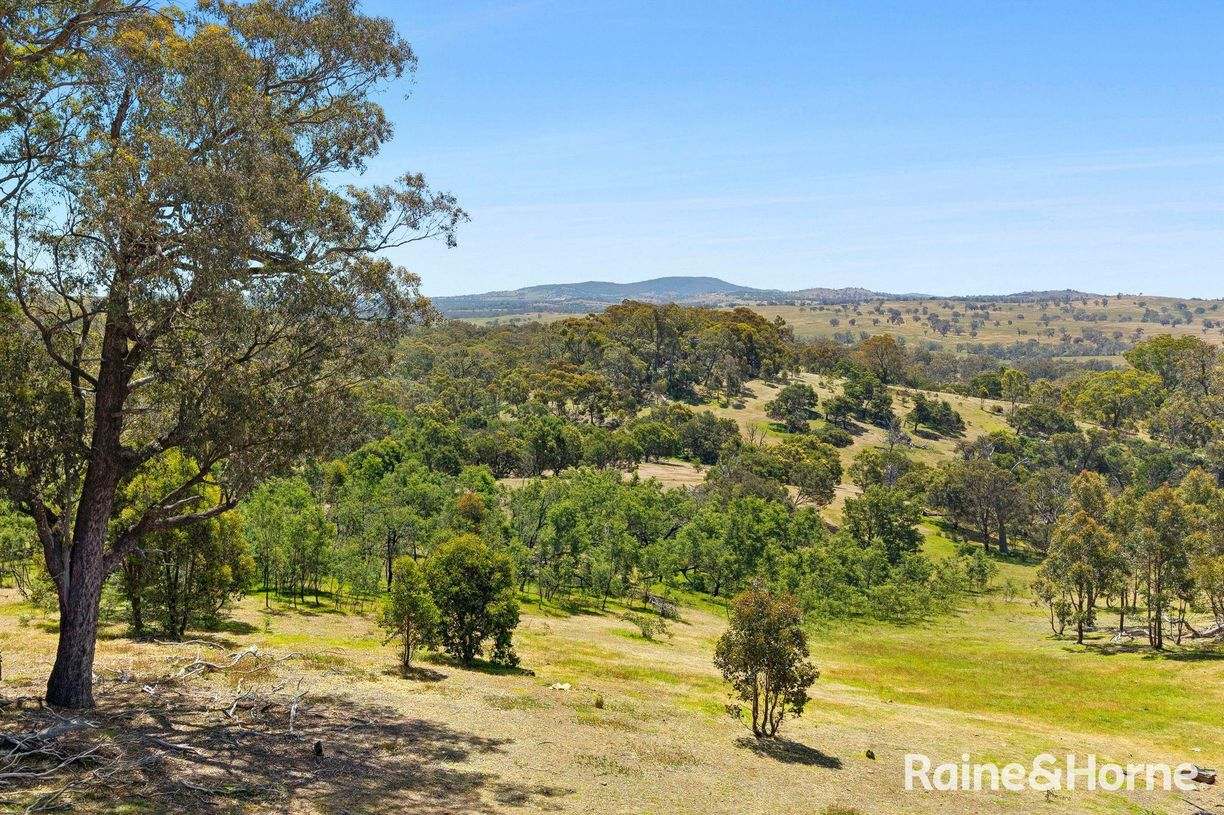 Lot 3 Taradale Road — photo 4 of 14