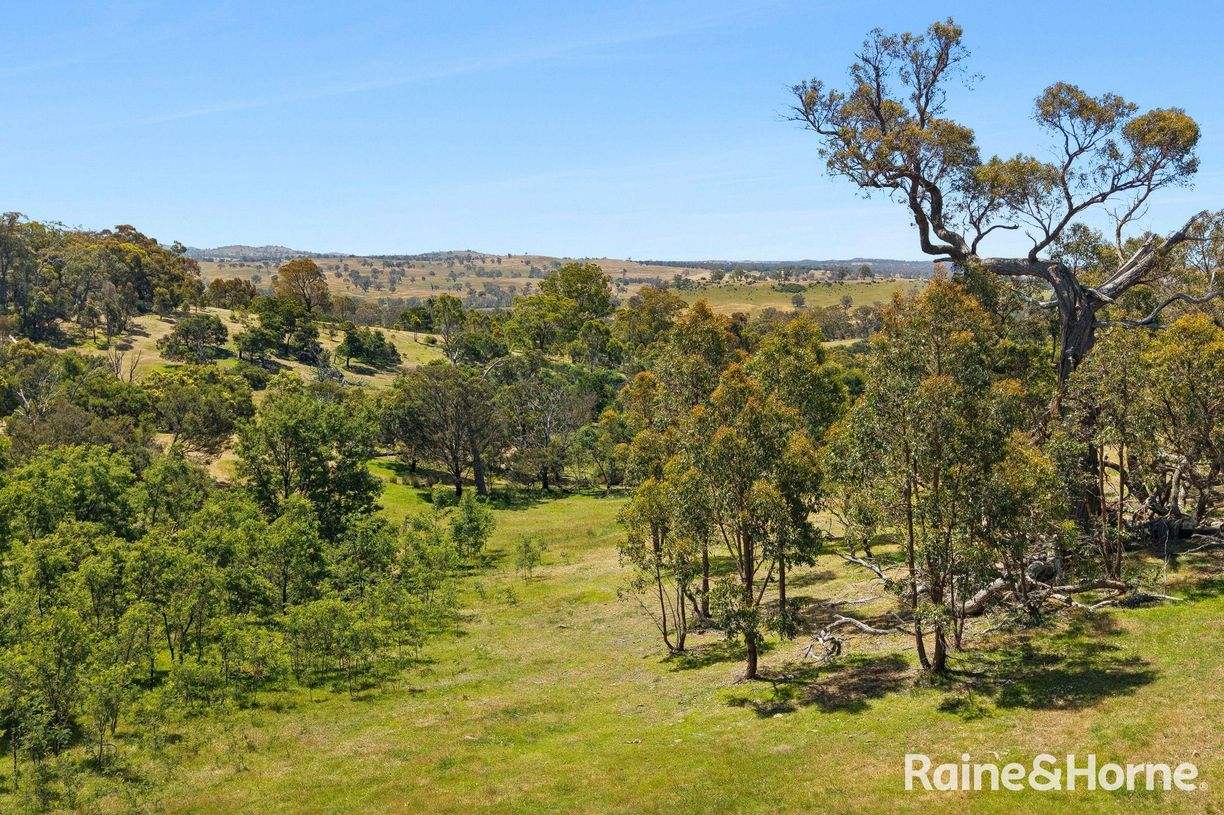 Lot 3 Taradale Road — photo 6 of 14