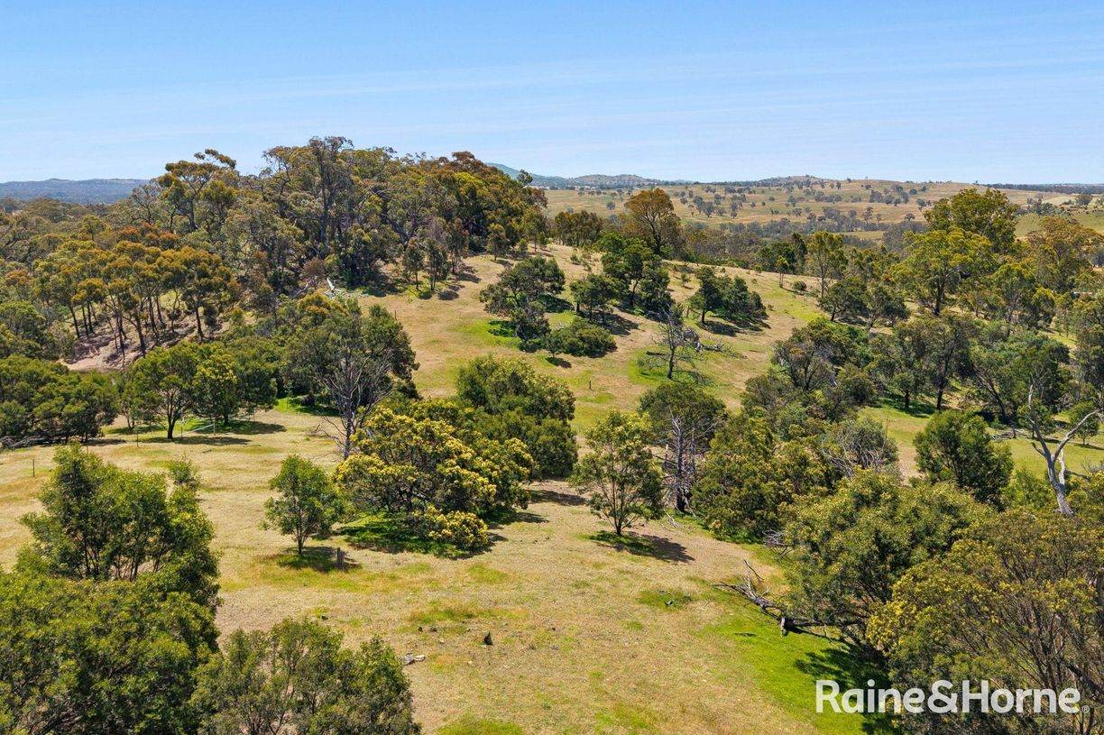 Lot 3 Taradale Road — photo 7 of 14