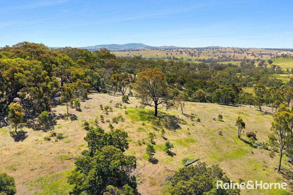 Lot 3 Taradale Road — photo 9 of 14