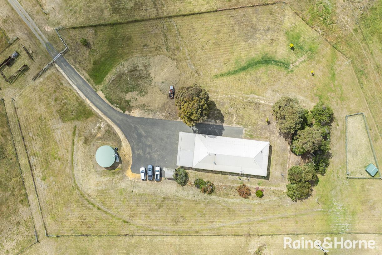147 Racecourse Road — photo 3 of 24