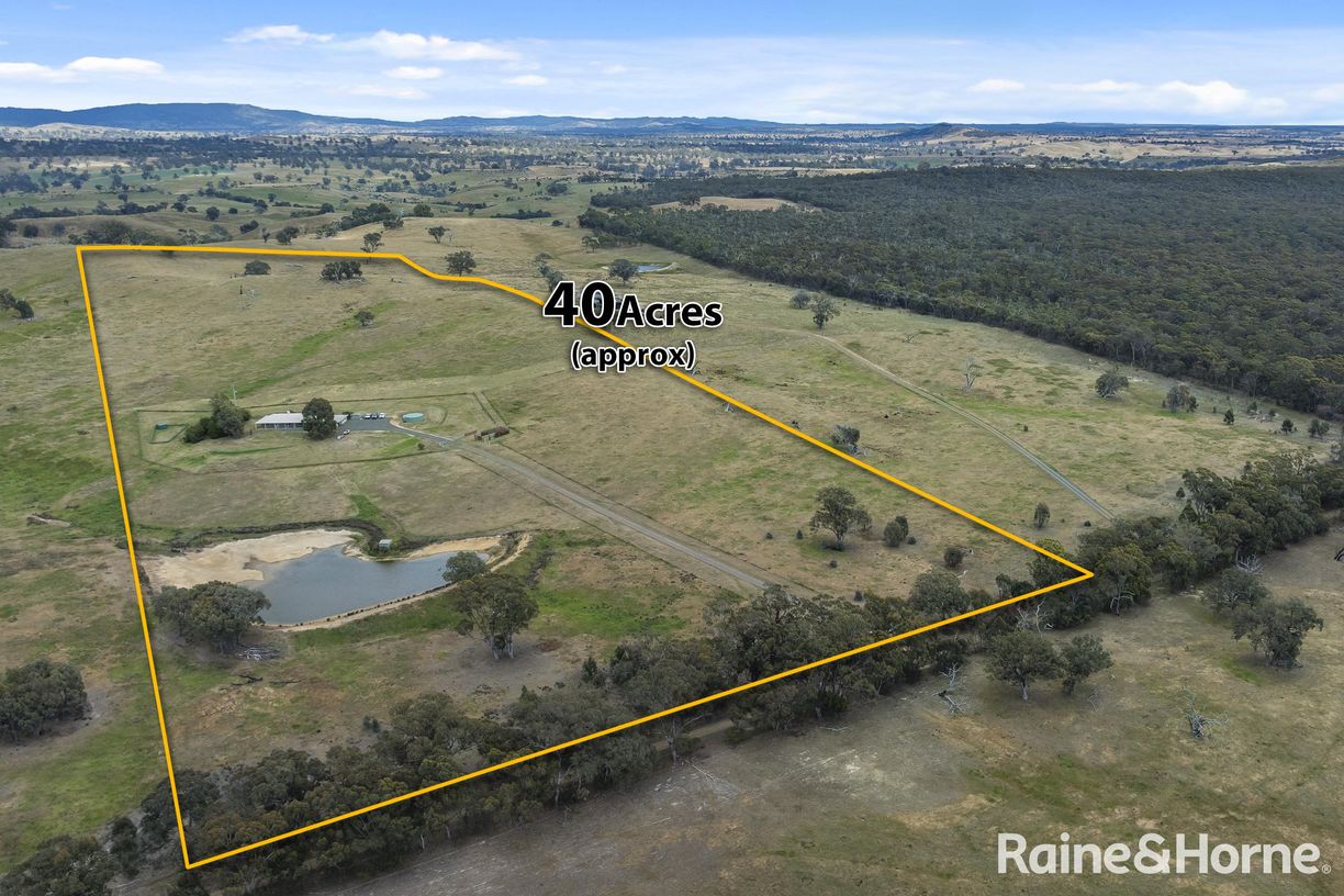 147 Racecourse Road — photo 4 of 24