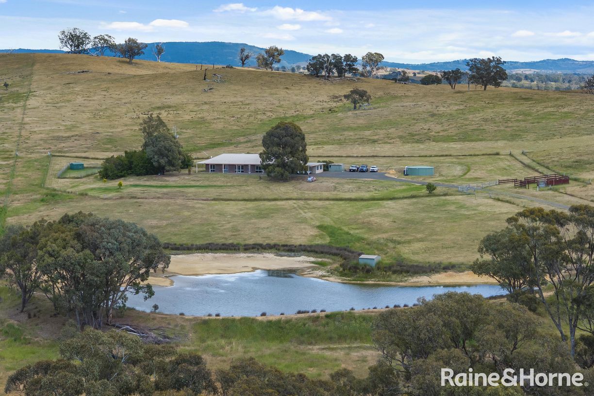 147 Racecourse Road — photo 5 of 24