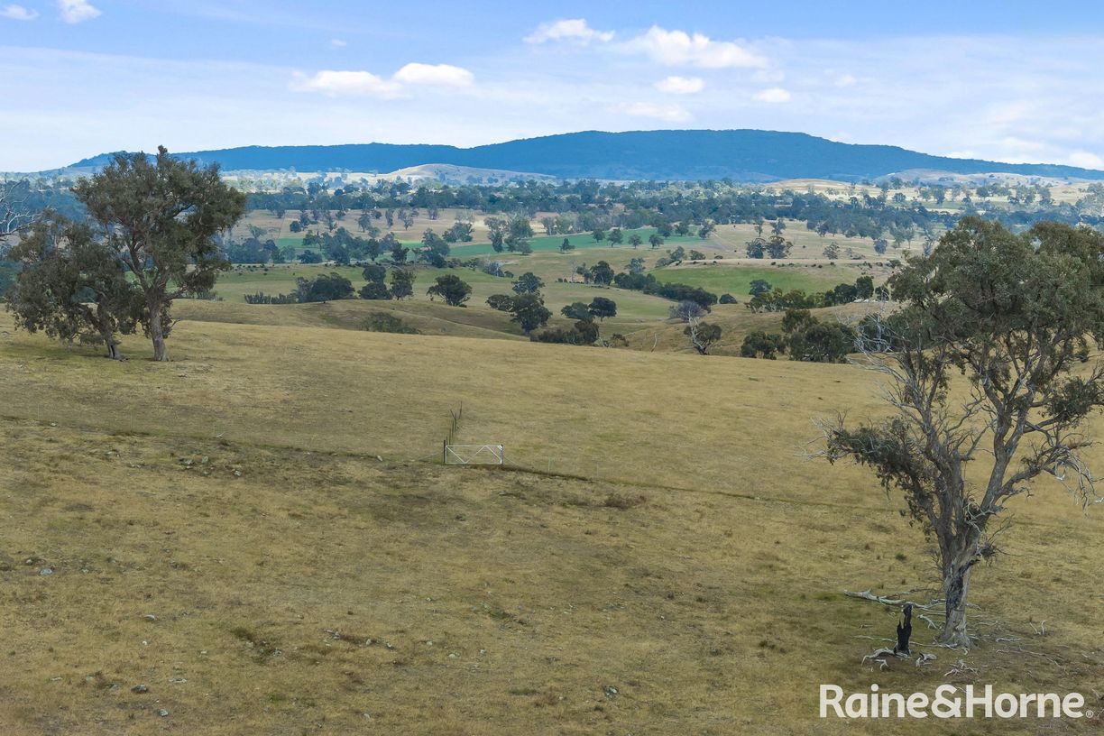 147 Racecourse Road — photo 19 of 24