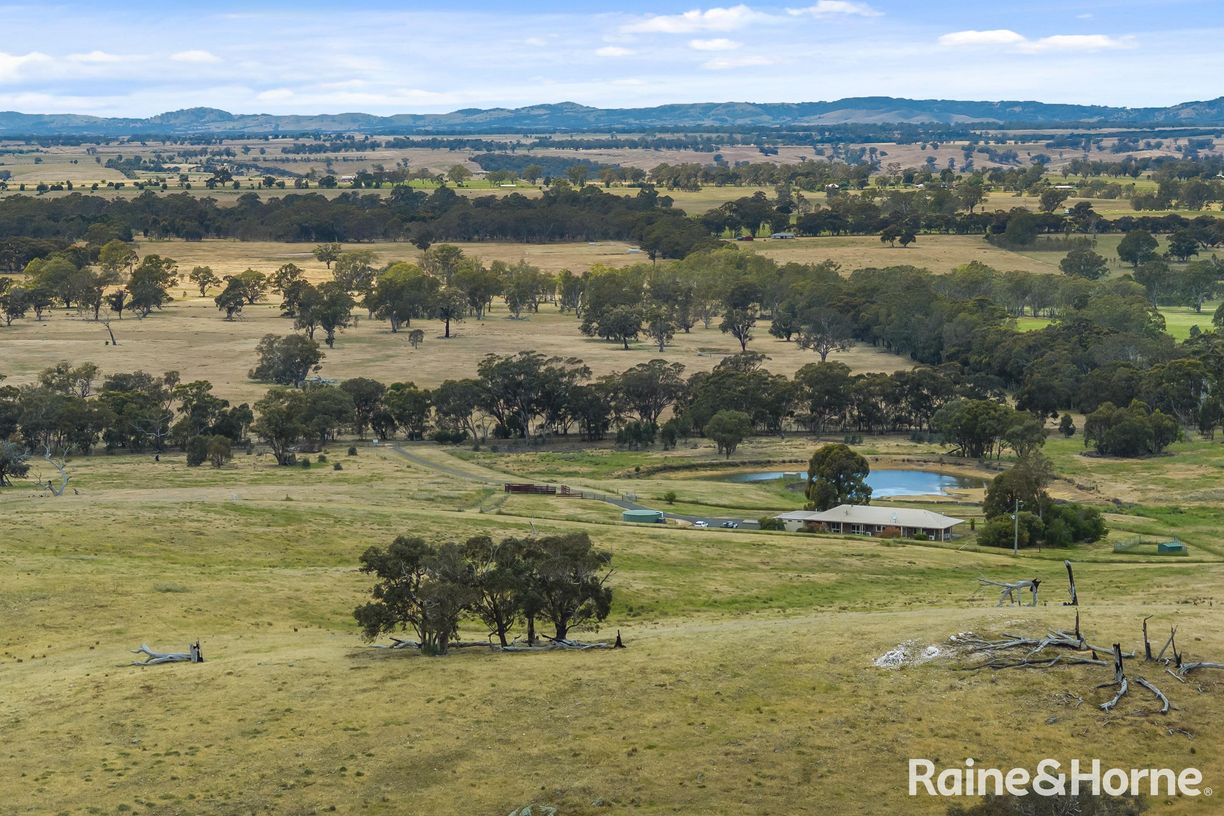 147 Racecourse Road — photo 20 of 24