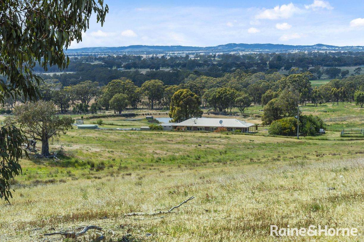 147 Racecourse Road — photo 21 of 24