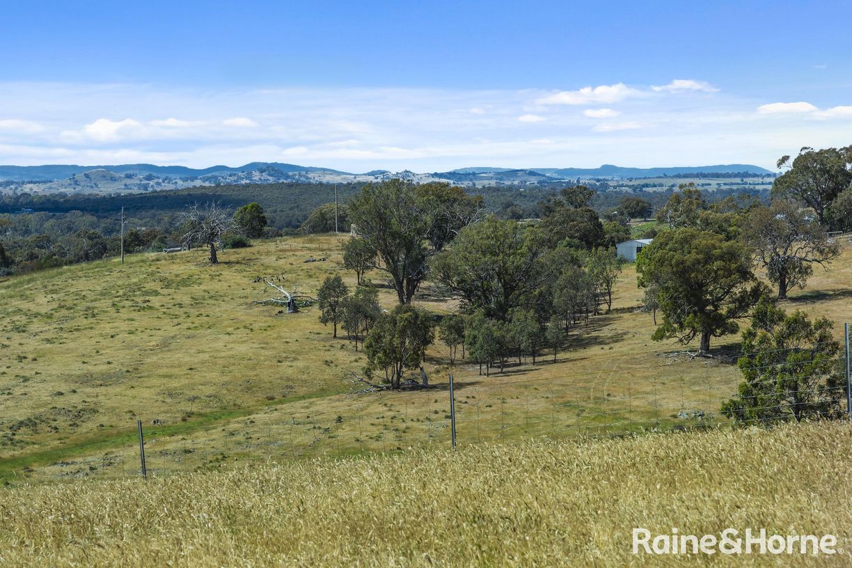 147 Racecourse Road — photo 22 of 24