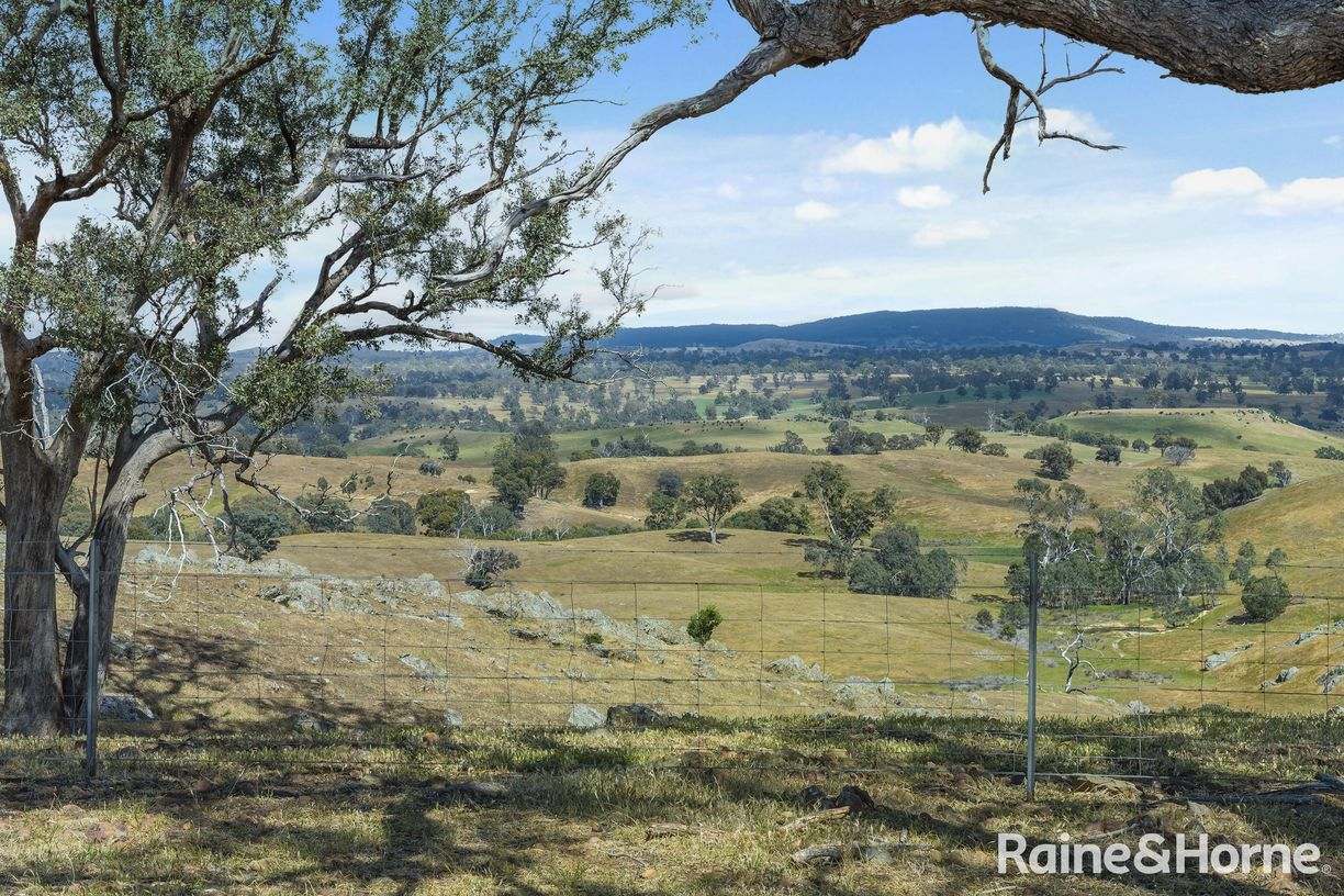 147 Racecourse Road — photo 23 of 24