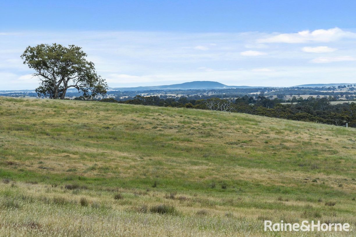147 Racecourse Road — photo 24 of 24