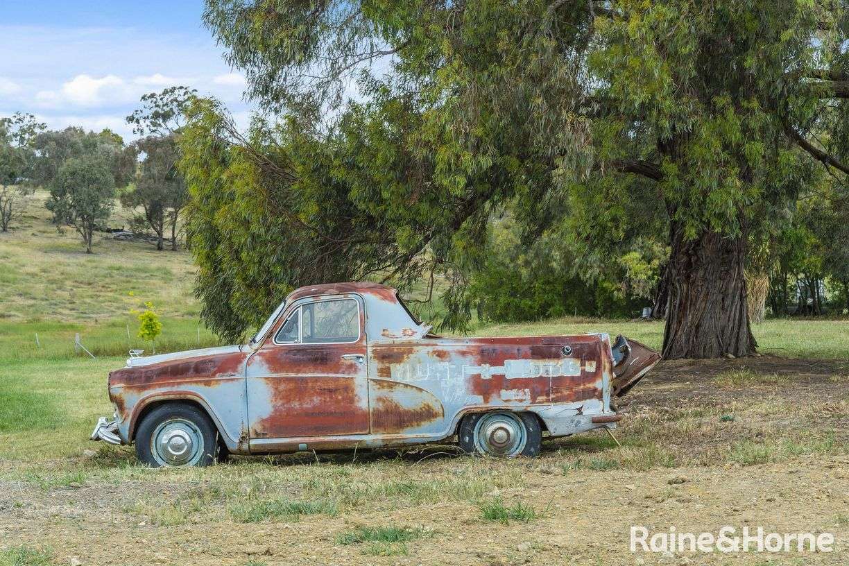 147 Racecourse Road — photo 17 of 24