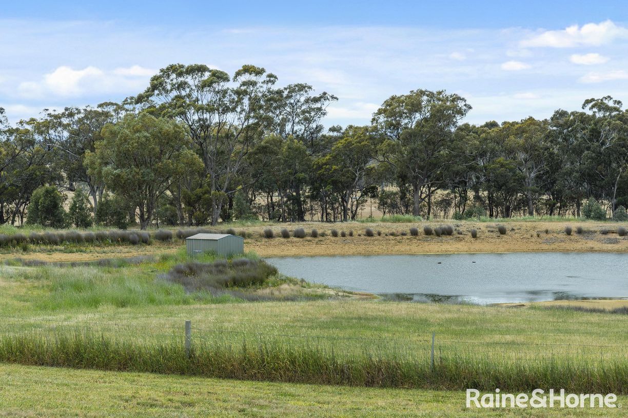 147 Racecourse Road — photo 18 of 24