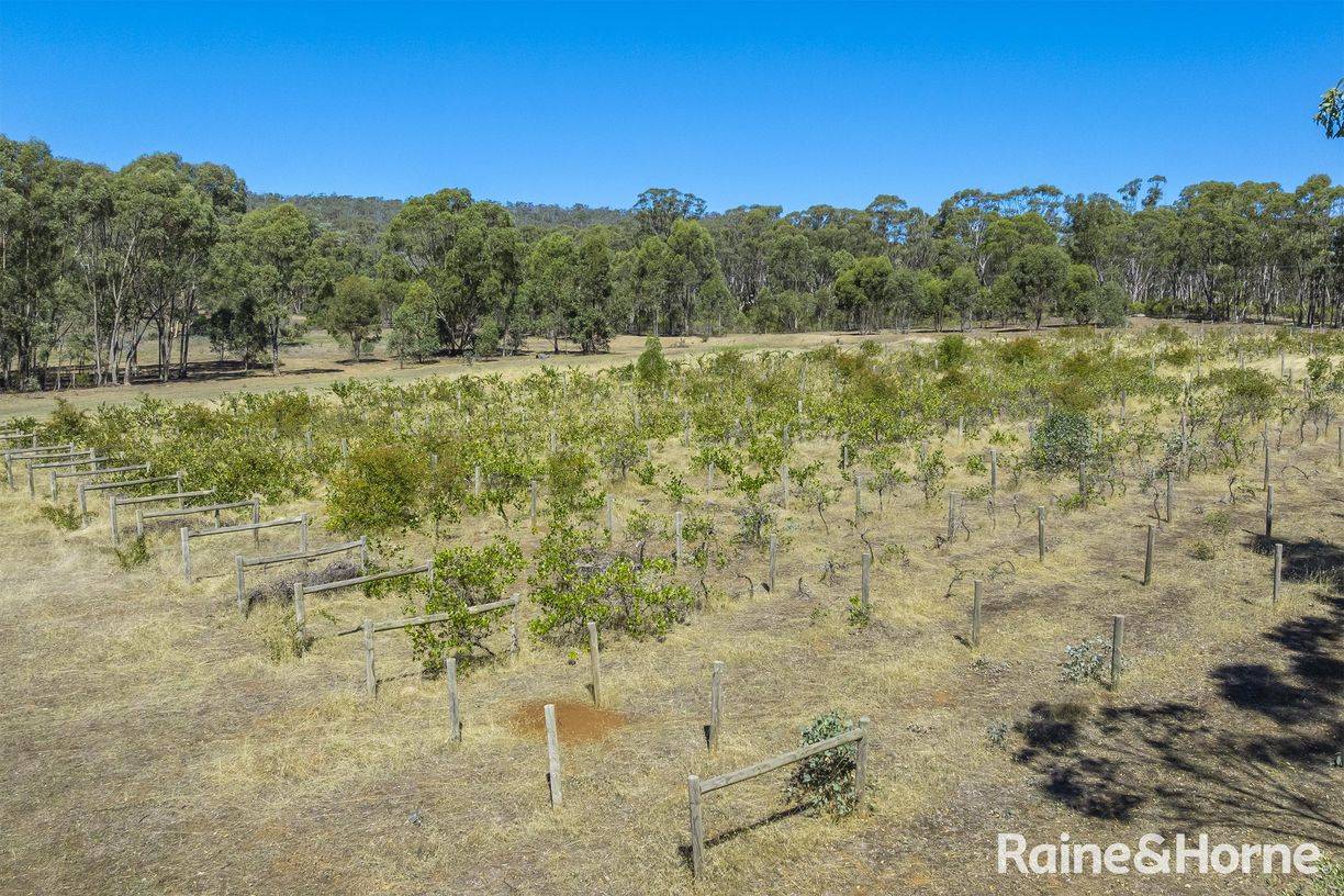 1000 Northern Highway — photo 4 of 30