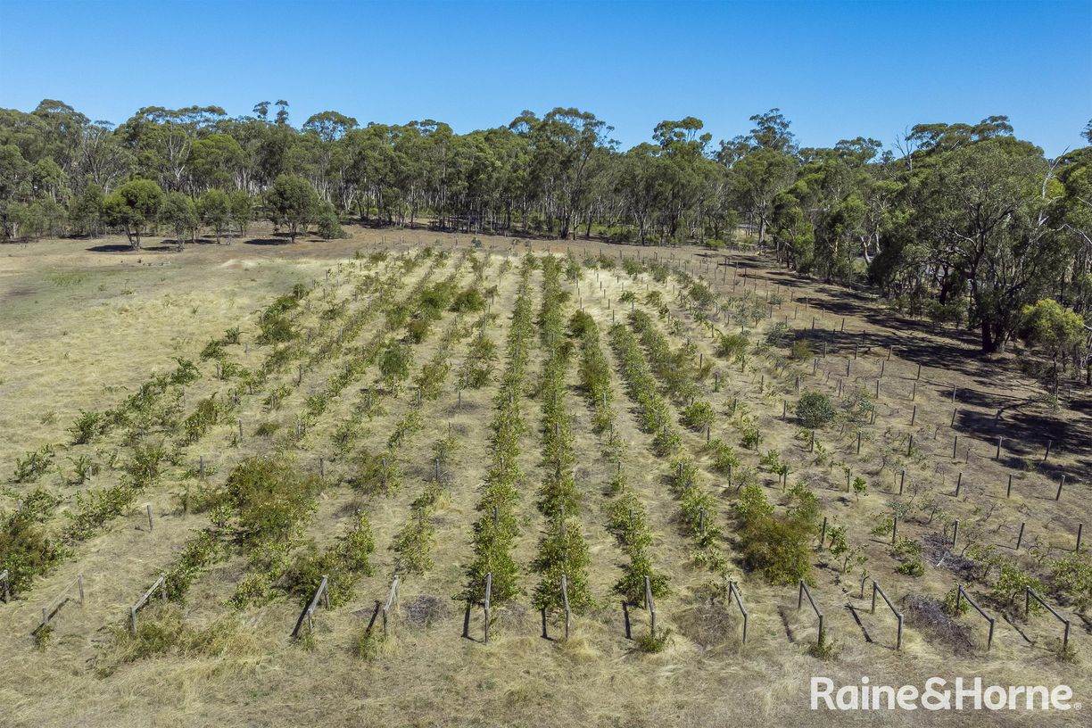 1000 Northern Highway — photo 3 of 30