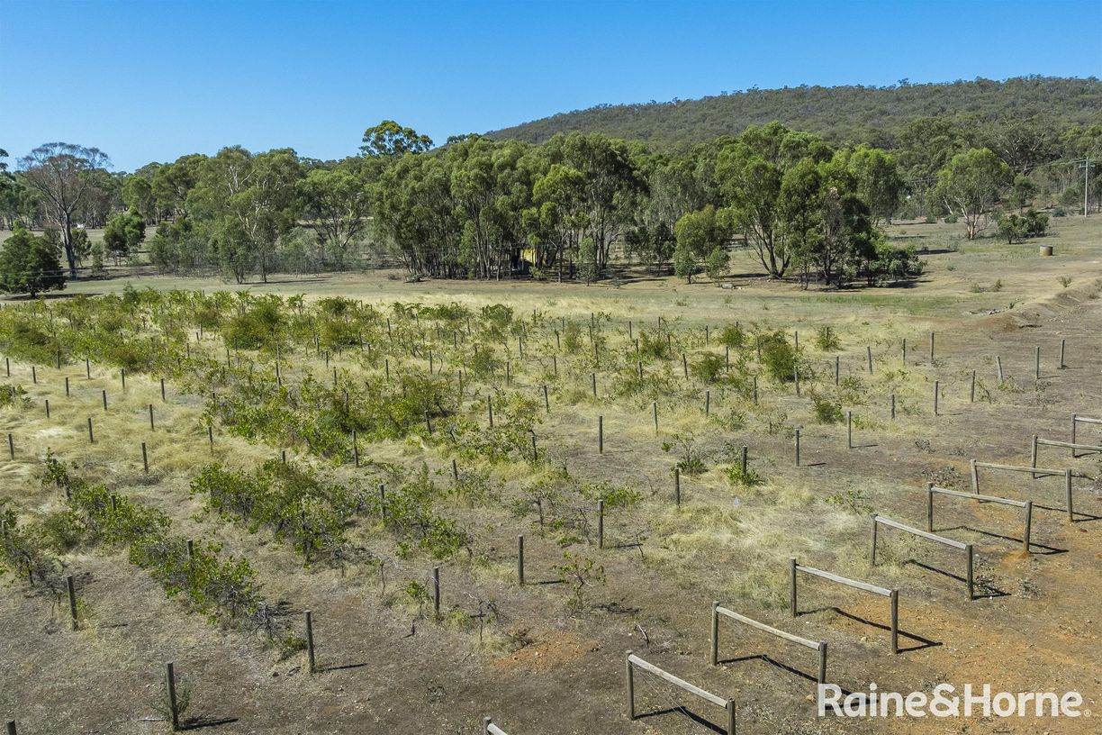1000 Northern Highway — photo 13 of 30