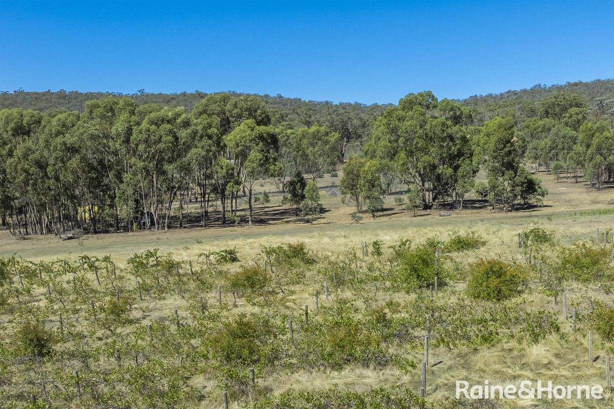 1000 Northern Highway — photo 14 of 30