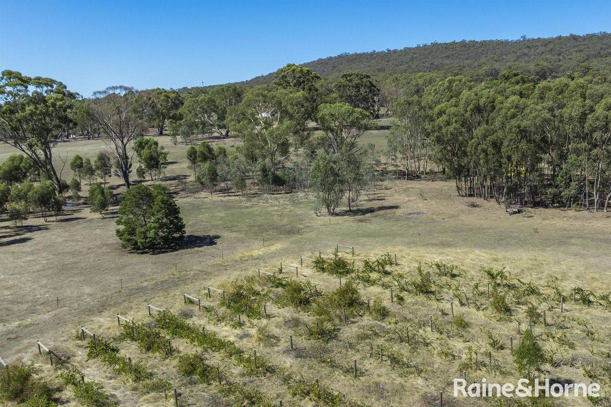 1000 Northern Highway — photo 15 of 30