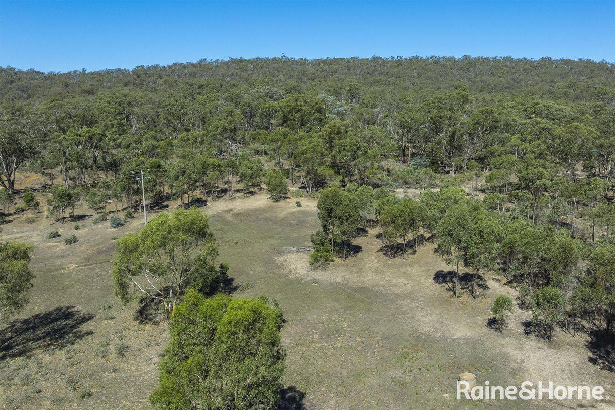 1000 Northern Highway — photo 16 of 30