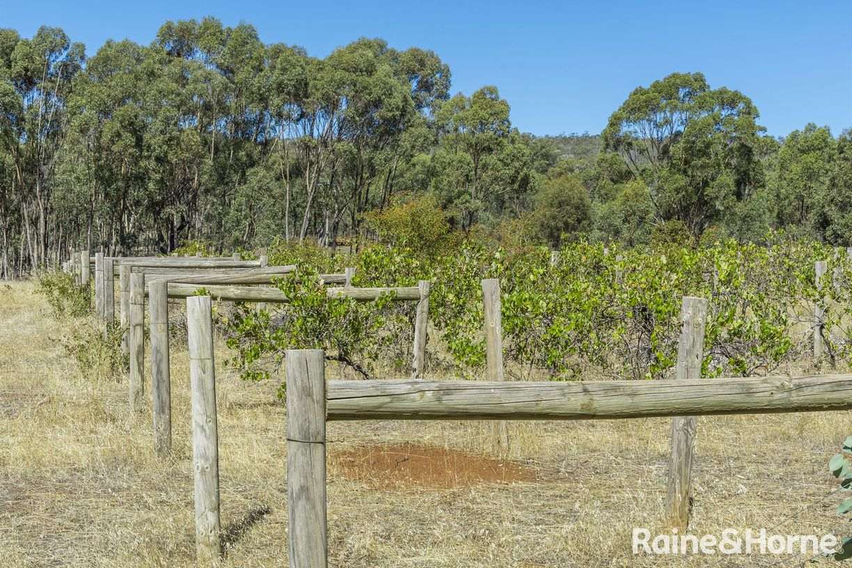 1000 Northern Highway — photo 2 of 30