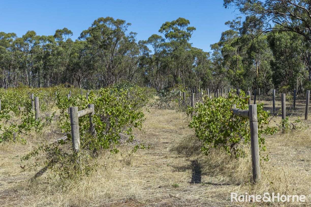 1000 Northern Highway — photo 29 of 30