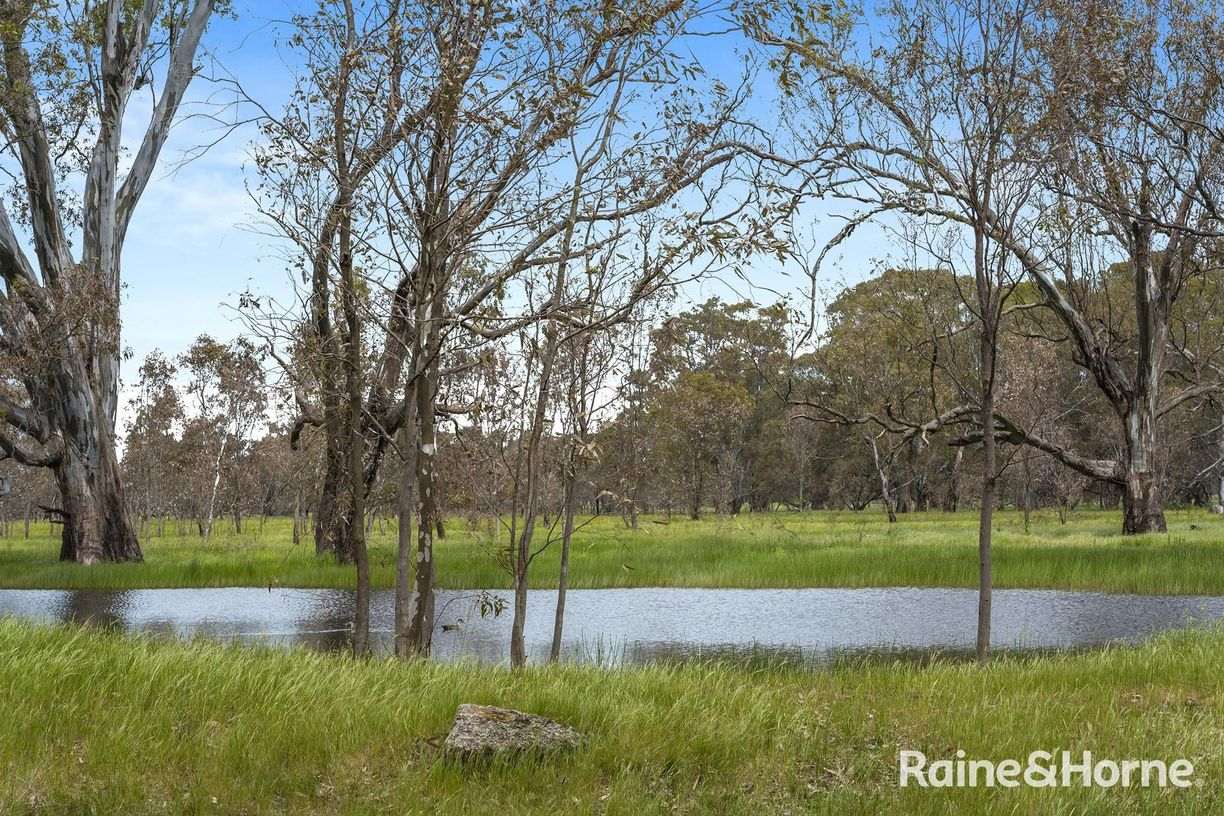 Lot 2 & 3 104 McNiffs Road — photo 9 of 12