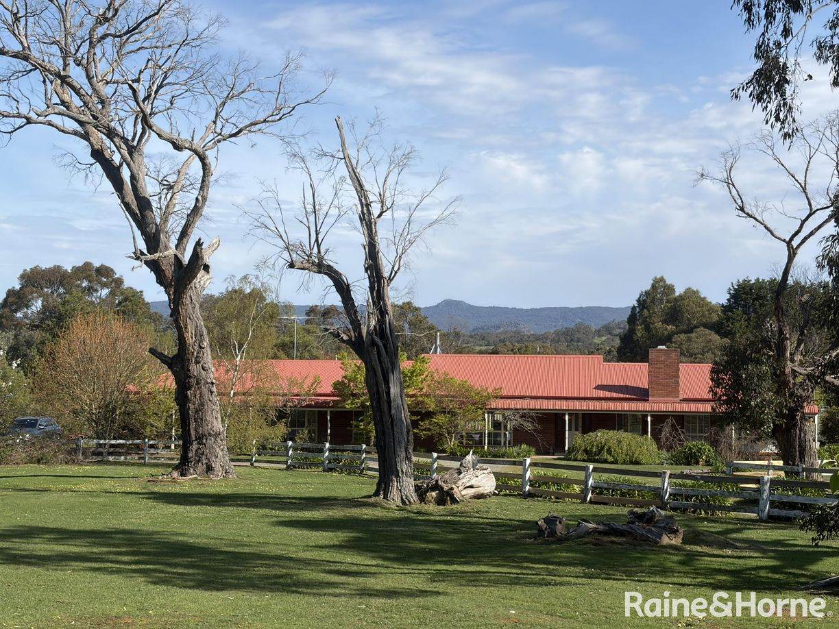 68 Forest Road — photo from Raine & Horne Kyneton