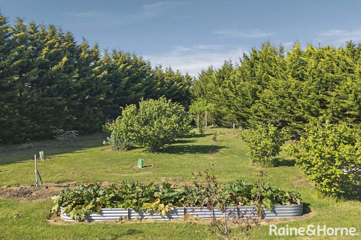 27 Davy Street — photo 27 of 30