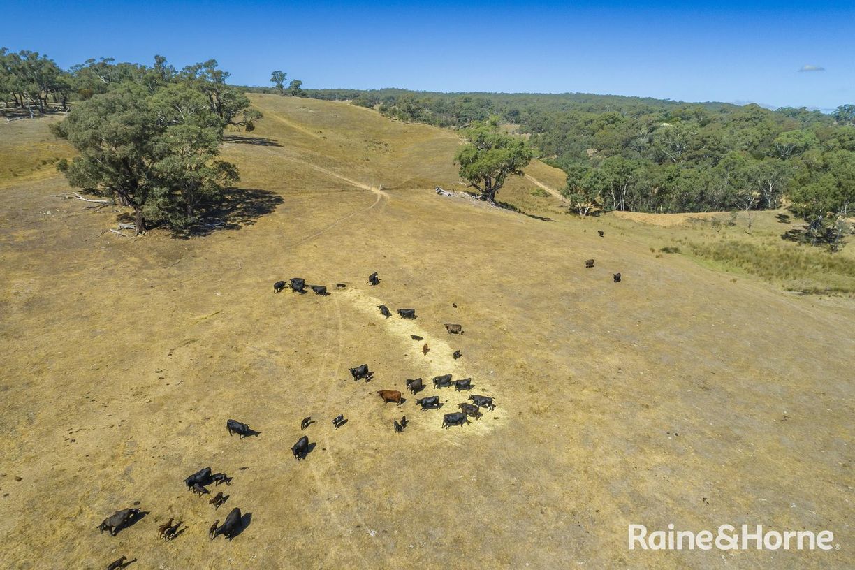 83 Kyneton-Metcalfe Road — photo 3 of 5